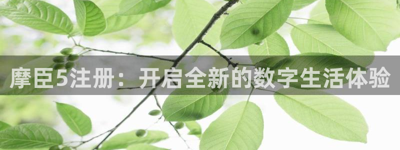k8凯发集团：摩臣5注册：开启全新的数字生活体验