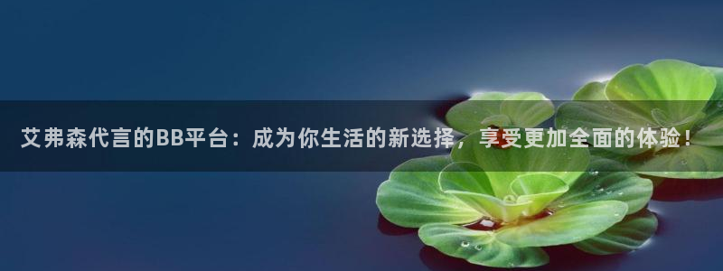 凯发官网入口：艾弗森代言的BB平台：成为你生活的新选择，享受更加全面的体验！