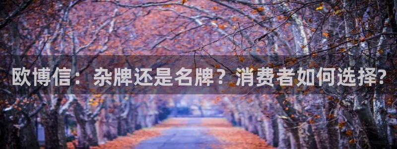 凯发电气今天行情：欧博信：杂牌还是名牌？消费者如何选择?