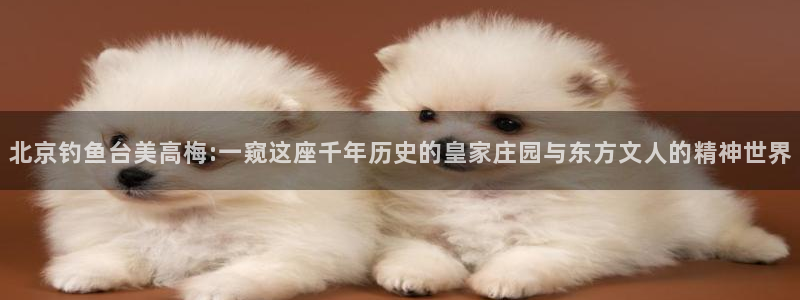 凯发苑土地出让金：北京钓鱼台美高梅:一窥这座千年历史的皇家庄园与东方文人的精神世界