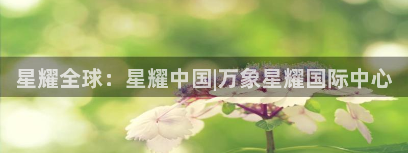 k8凯发,apk.1：星耀全球：星耀中国|万象星耀国际中心