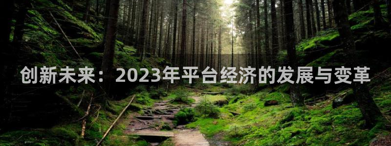 k8凯发是啥：创新未来：2023年平台经济的发展与变革