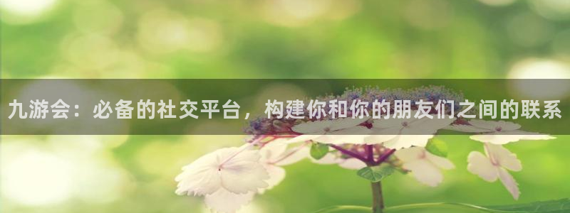 凯发再生资源：九游会：必备的社交平台，构建你和你的朋友们之间的联系