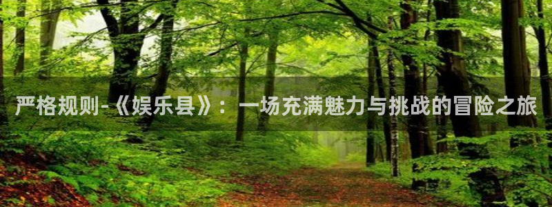 k8凯发.com：严格规则-《娱乐县》：一场充满魅力与挑战的冒险之旅