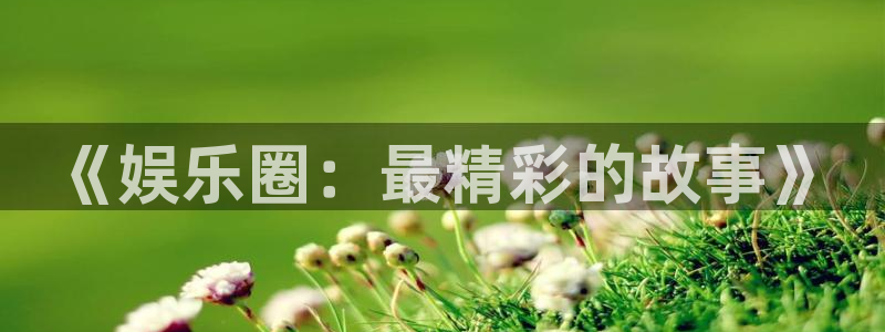 k8凯发预测在线预测：《娱乐圈：最精彩的故事》