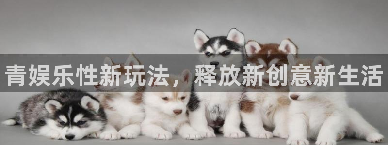 凯发娱发k8官网：青娱乐性新玩法，释放新创意新生活