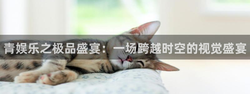 凯发电气今天最新消息：青娱乐之极品盛宴：一场跨越时空的视觉盛宴