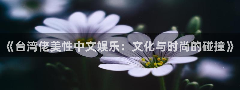 上海凯发：《台湾佬美性中文娱乐：文化与时尚的碰撞》