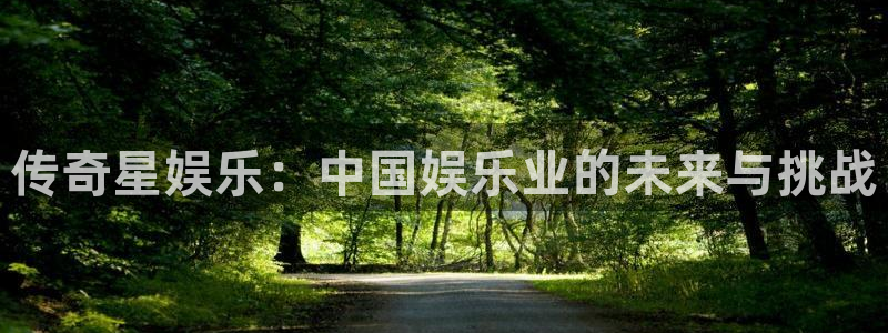 凯发棋牌：传奇星娱乐：中国娱乐业的未来与挑战