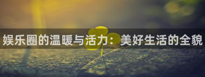 凯发苑第一社区：娱乐圈的温暖与活力：美好生活的全貌