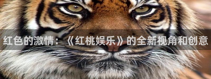 西安凯发：红色的激情：《红桃娱乐》的全新视角和创意